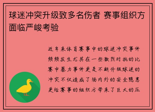 球迷冲突升级致多名伤者 赛事组织方面临严峻考验