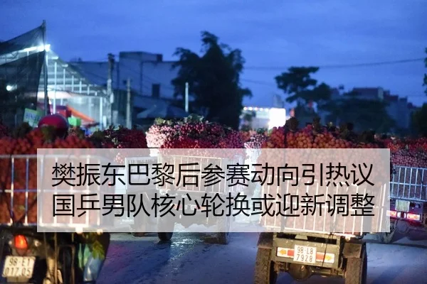 樊振东巴黎后参赛动向引热议 国乒男队核心轮换或迎新调整